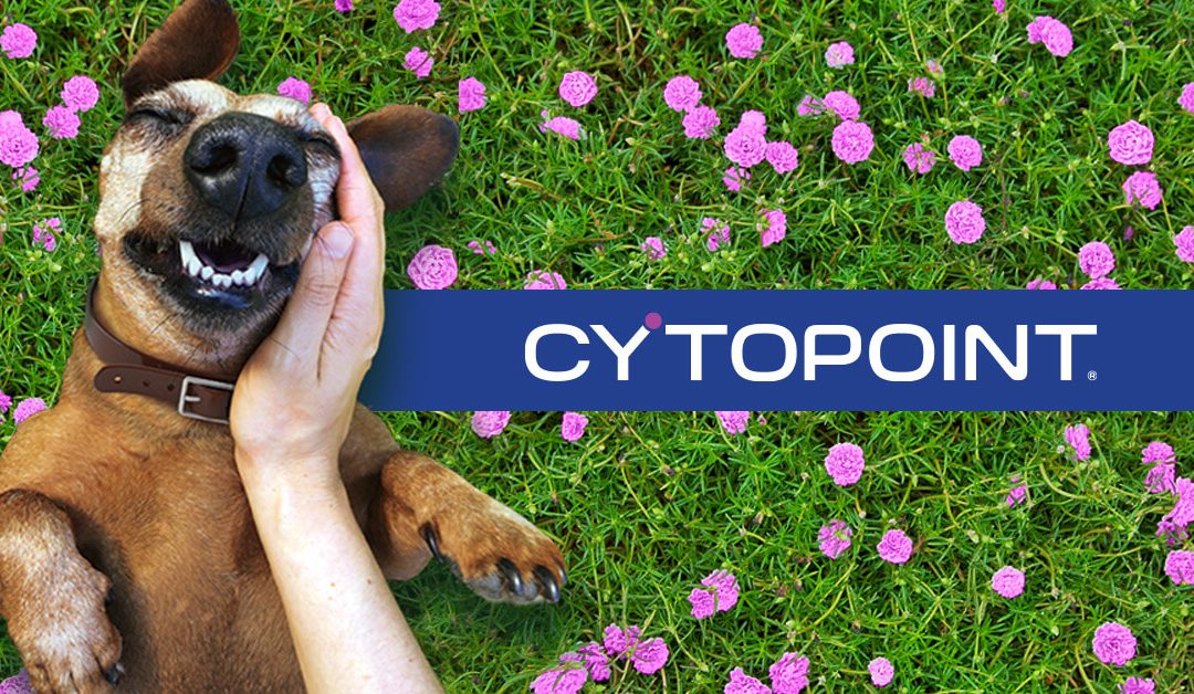 Cytopoint jako moderní a bezpečná cílená léčba psí atopické dermatitidy